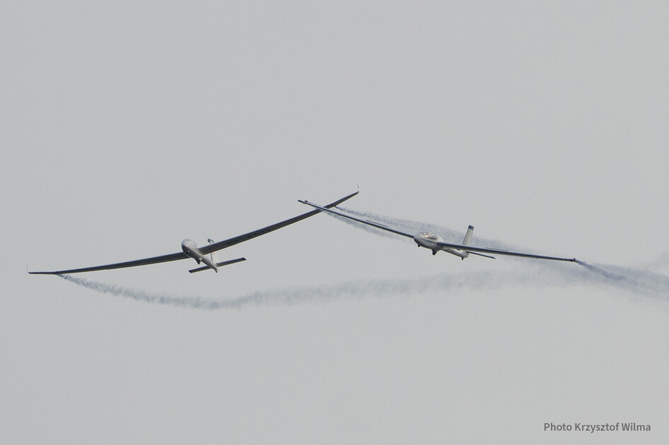 Szd-Allstar-Pzl-Glider-Noc-Balonowa-Perkoz-Cros